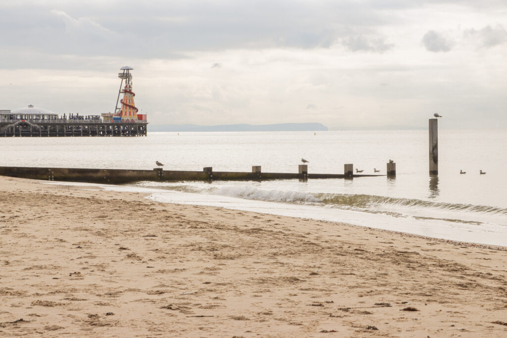 A sepia toned image of bournemouth pier with one of the groynes in the foreground with seagulls forming a line.