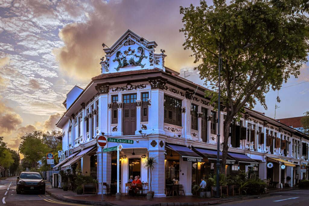 Katong/ Joo Chiat: Colours of Continuity and Change