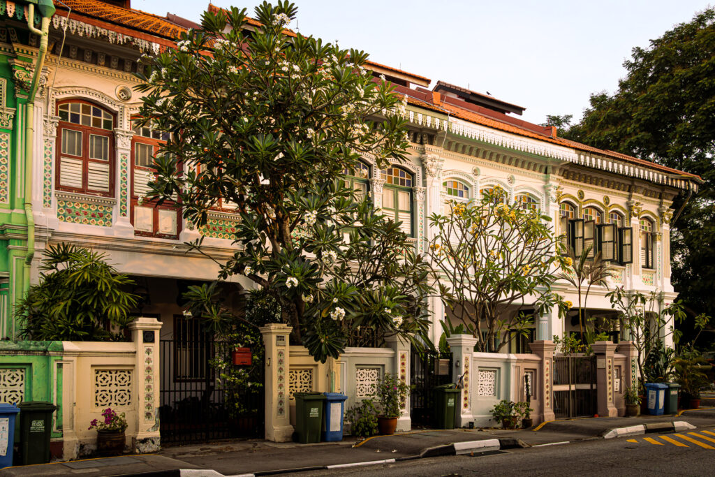 A row of Peranakan shophouses in muted greens and creams, partially obscured by a large flowering tree with white blossoms. Ornate plasterwork columns and shuttered upper windows are visible.