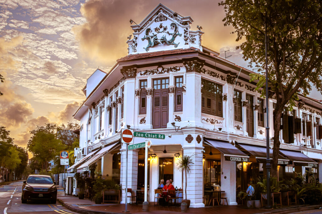 Katong/ Joo Chiat: Colours of Continuity and Change