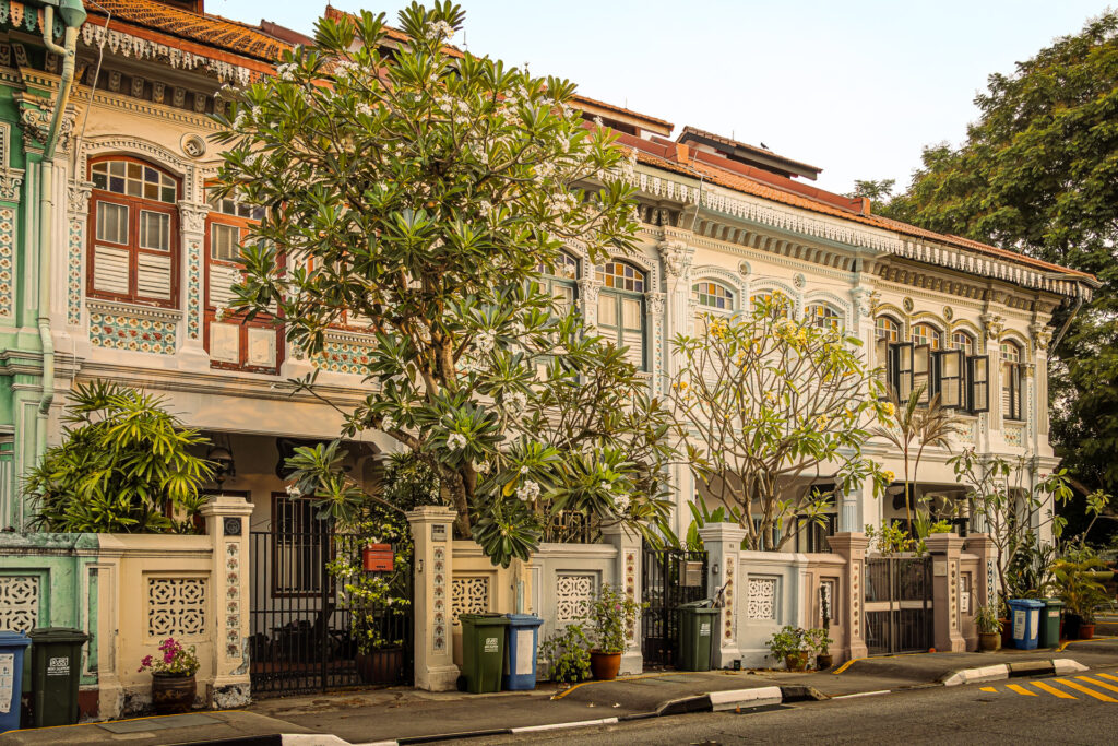 Row of pastel-coloured Peranakan shophouses with ornate plasterwork facades and a flowering frangipani tree in front.