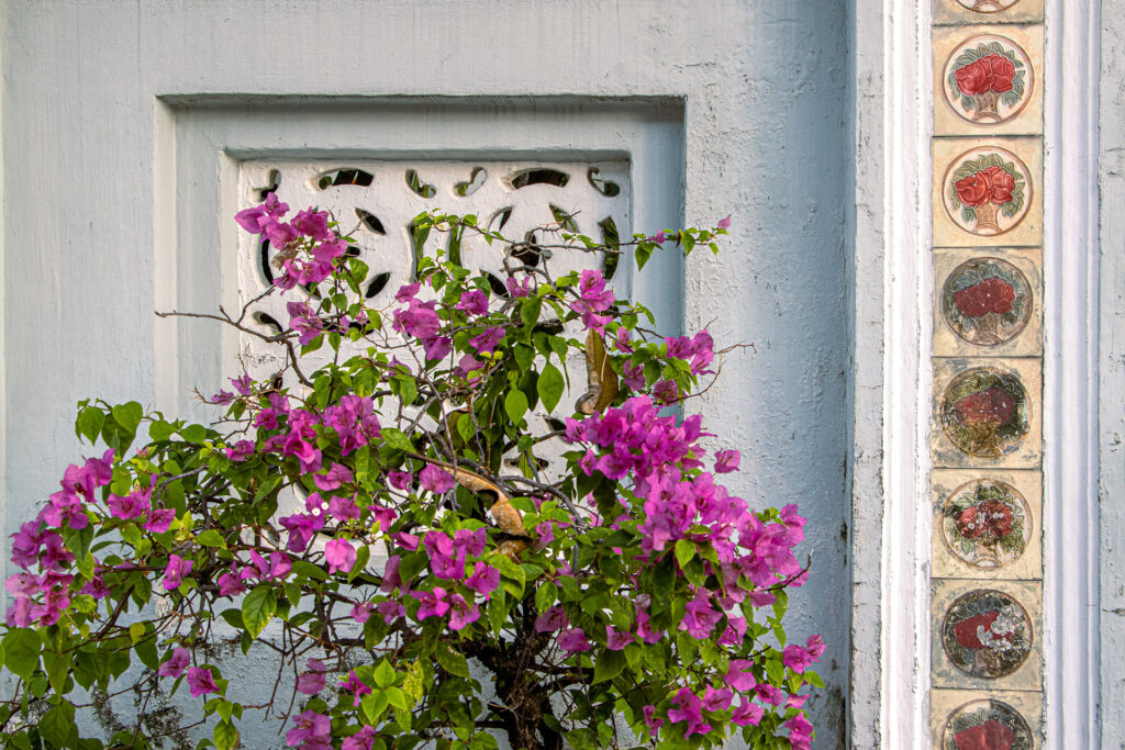 Antique floral ceramic tiles on a pale blue wall, beside a bright pink bougainvillea in bloom.