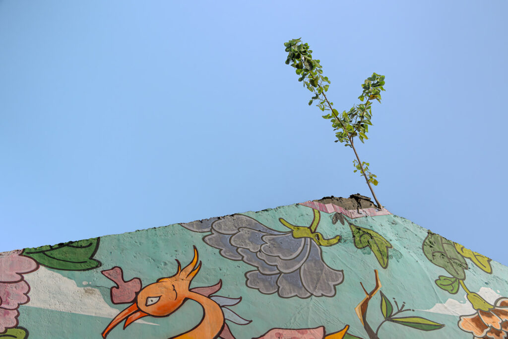 Katong/ Joo Chiat: Colours of Continuity and Change