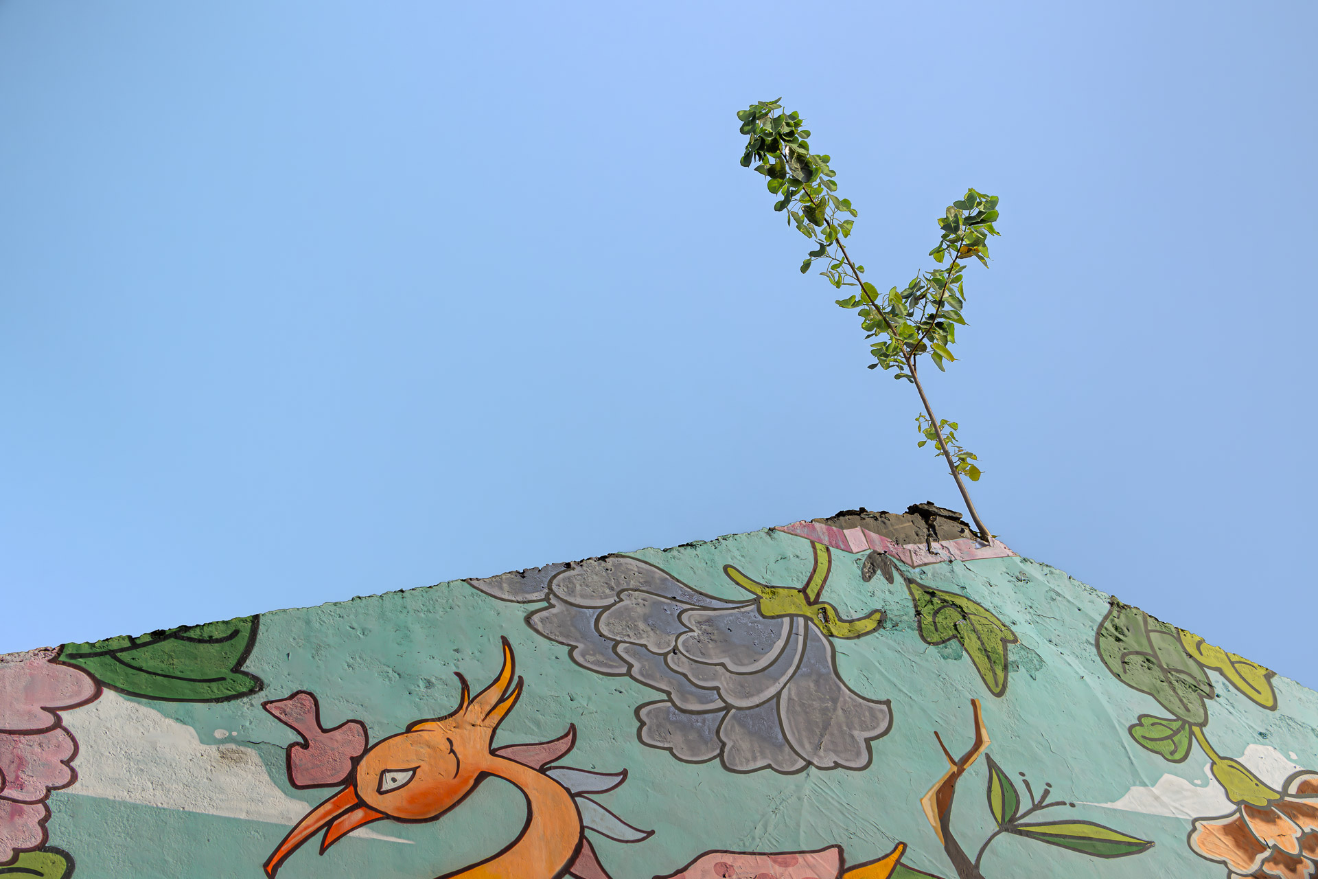 Katong/ Joo Chiat: Colours of Continuity and Change