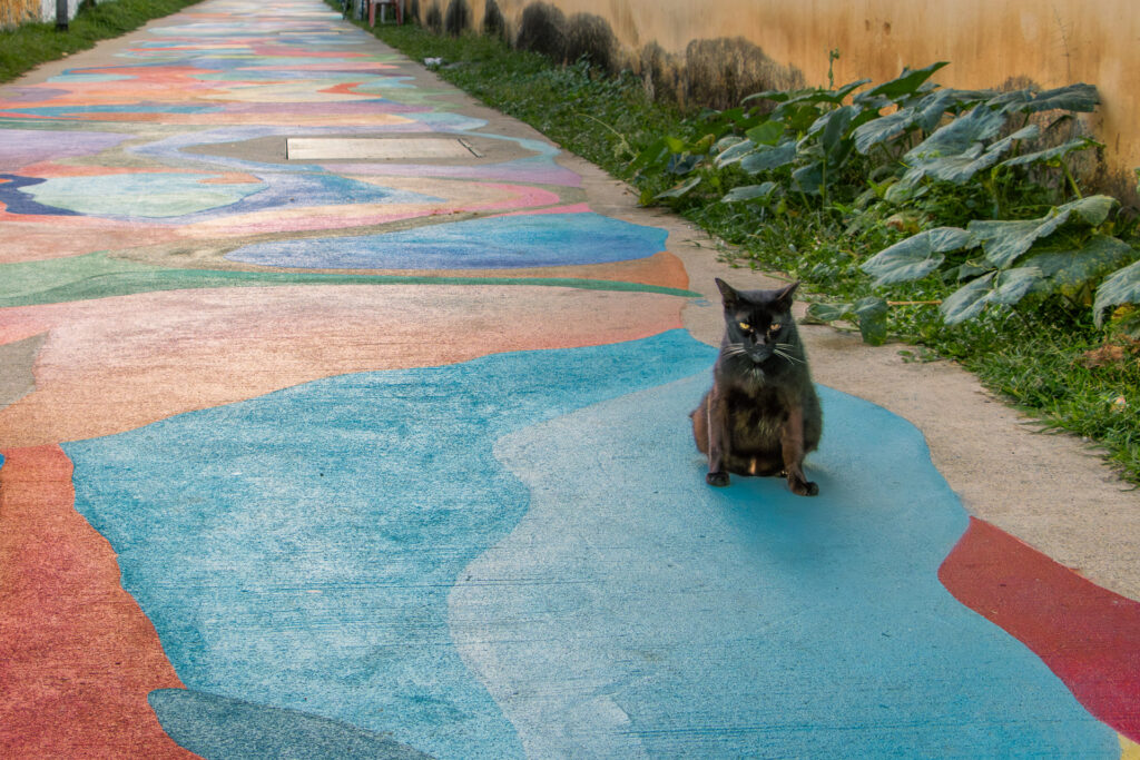 A black stray cat sitting on a footpath painted with a colourful abstract mural, greenery lining the path.